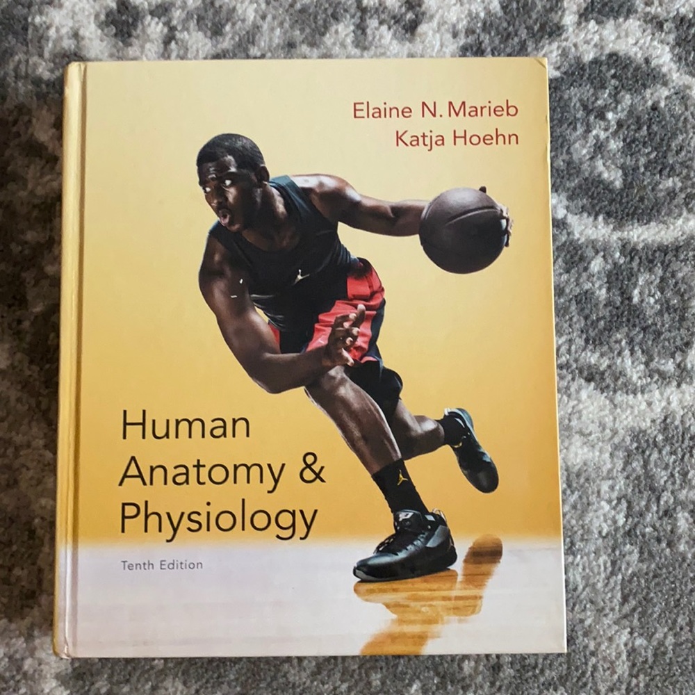 Human Anatomy & Physiology 10th ed